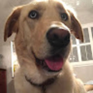 Meet your Posher, Joslyn